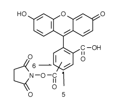 FAM|5(6)-Ȼɹ