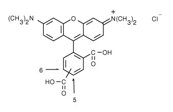 TAMRA|5(6)-Ȼļ׻_}}